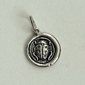Waxing Poetic Ladybug Charm